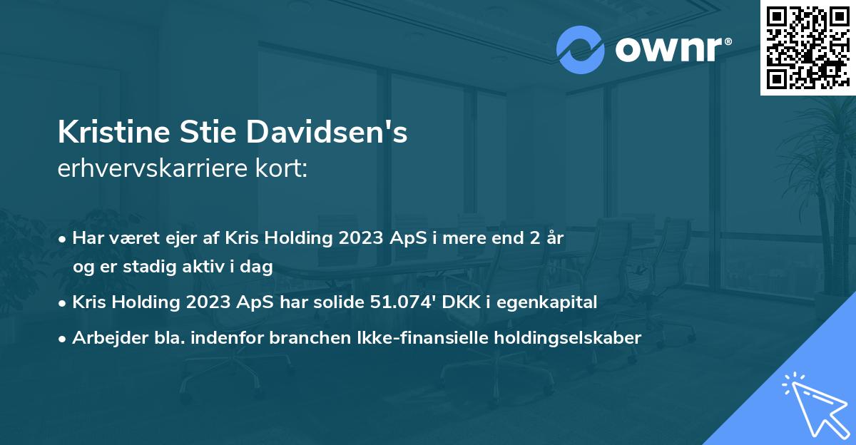 Kristine Stie Davidsen's erhvervskarriere kort