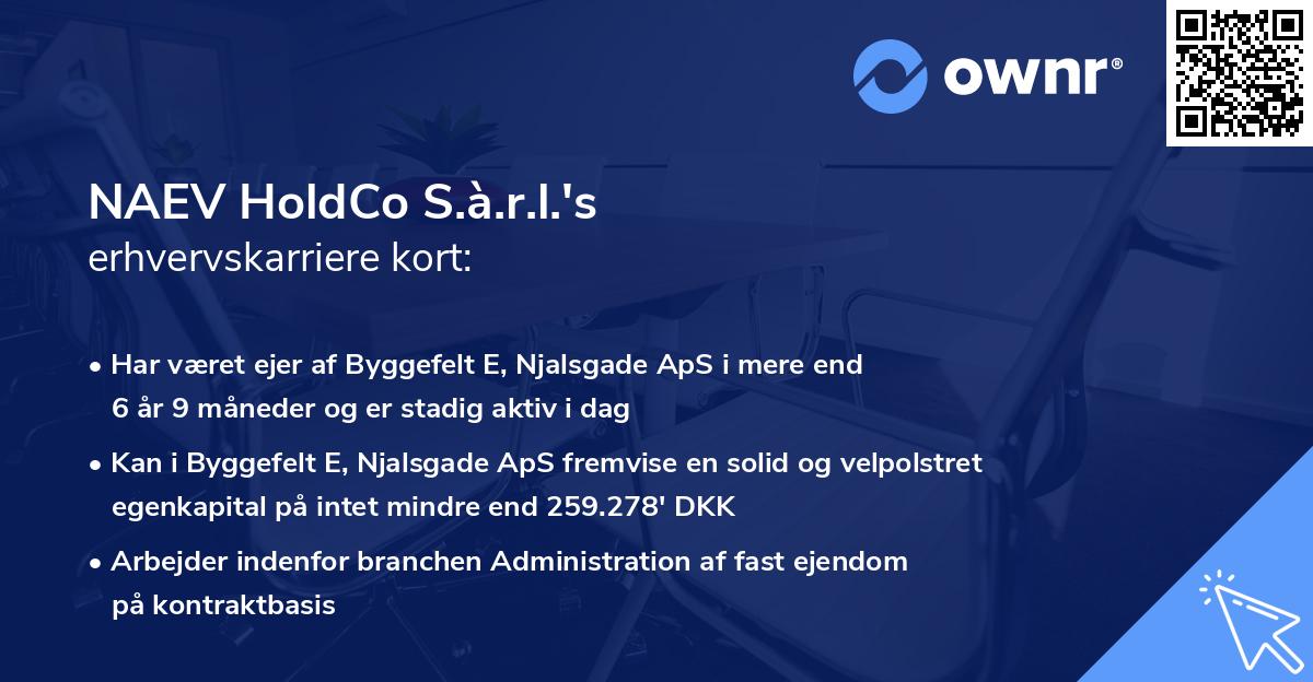 NAEV HoldCo S.à.r.l.'s erhvervskarriere kort