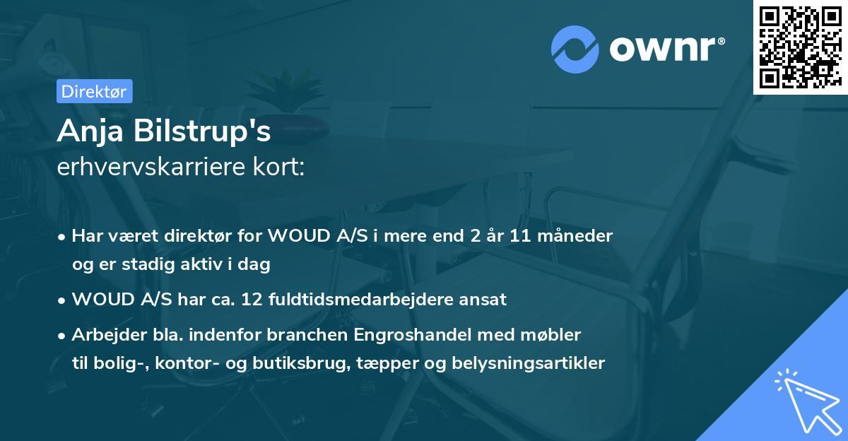 Anja Bilstrup's erhvervskarriere kort