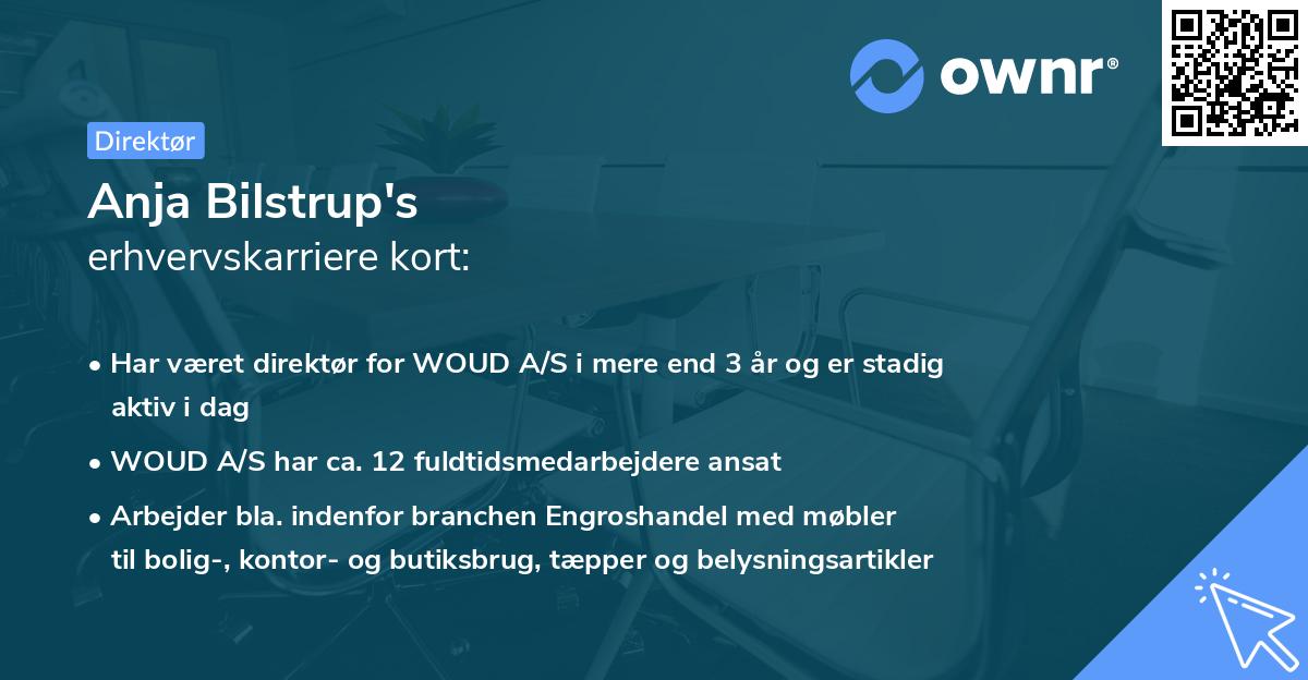 Anja Bilstrup's erhvervskarriere kort