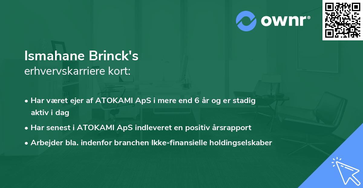 Ismahane Brinck's erhvervskarriere kort