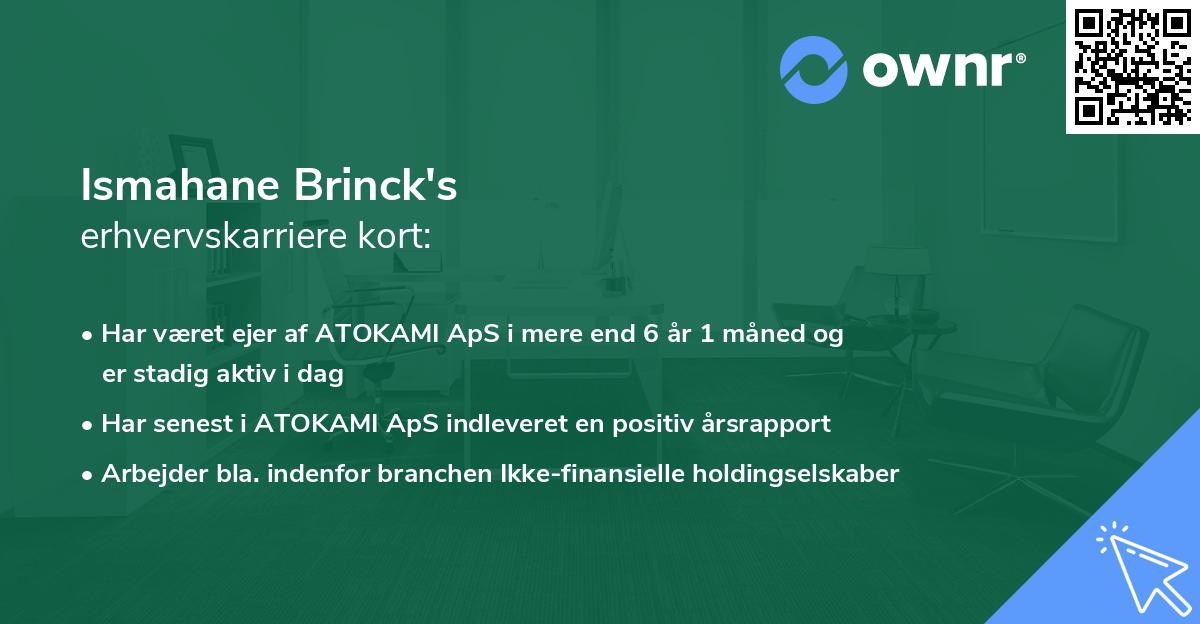 Ismahane Brinck's erhvervskarriere kort