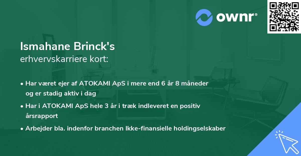 Ismahane Brinck's erhvervskarriere kort