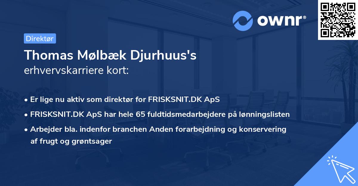 Thomas Mølbæk Djurhuus's erhvervskarriere kort