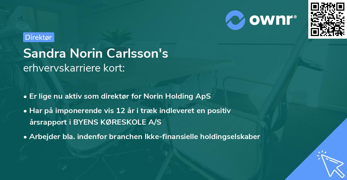 Sandra Norin Carlsson's erhvervskarriere kort