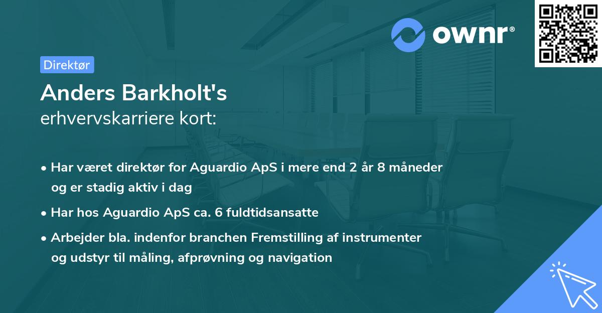 Anders Barkholt's erhvervskarriere kort