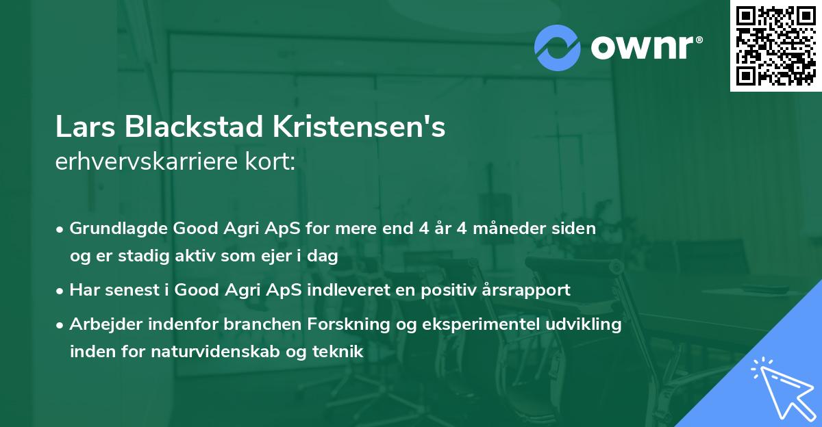 Lars Blackstad Kristensen's erhvervskarriere kort