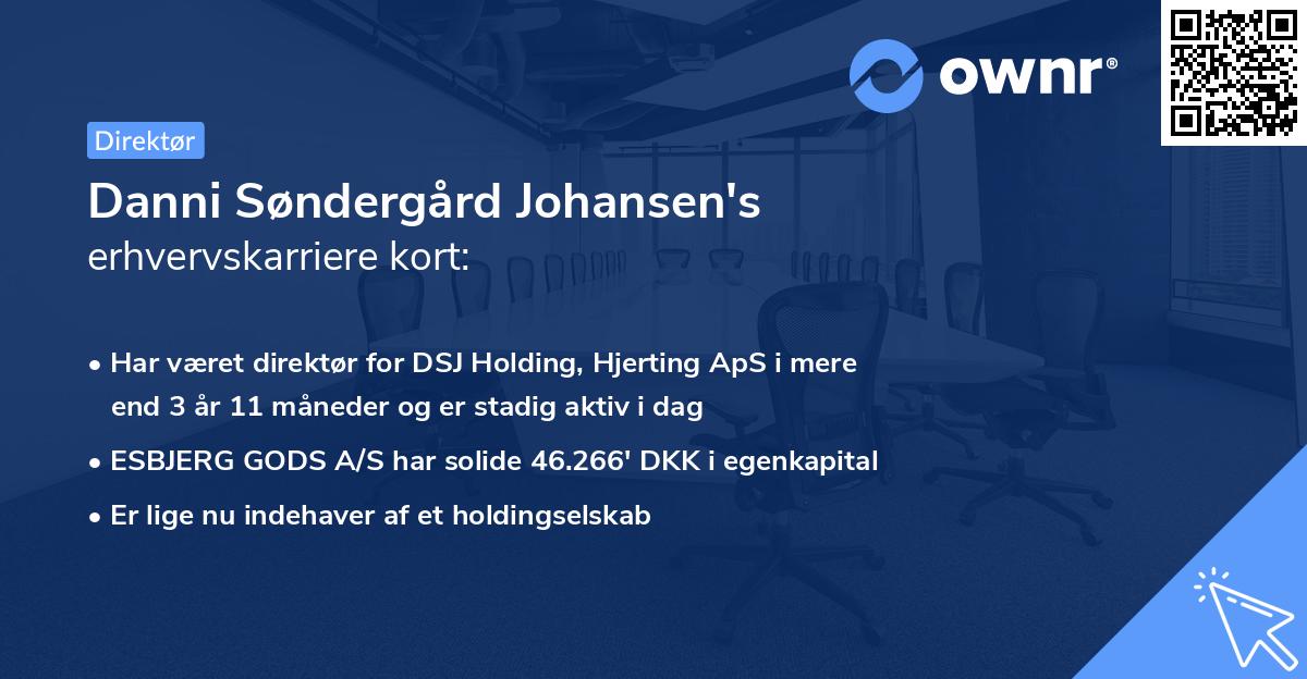 Danni Søndergård Johansen's erhvervskarriere kort