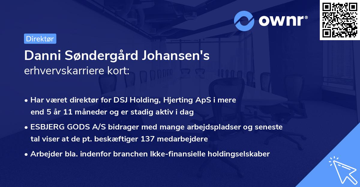 Danni Søndergård Johansen's erhvervskarriere kort
