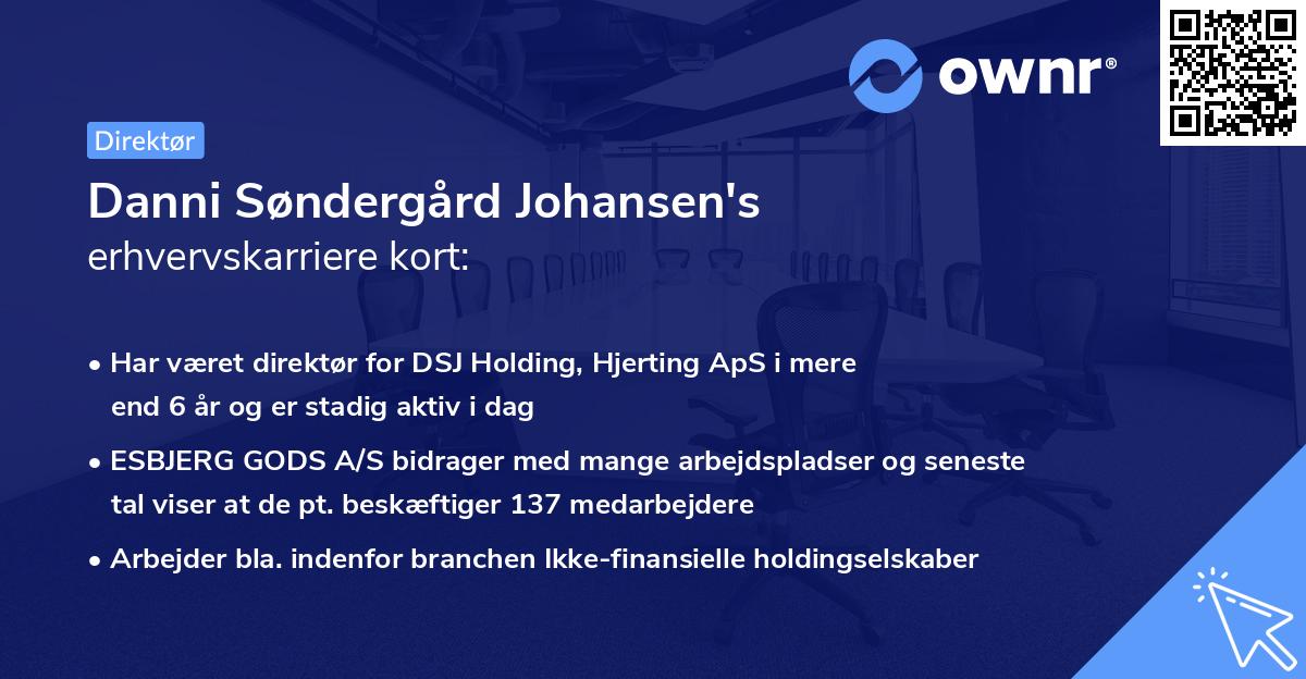 Danni Søndergård Johansen's erhvervskarriere kort