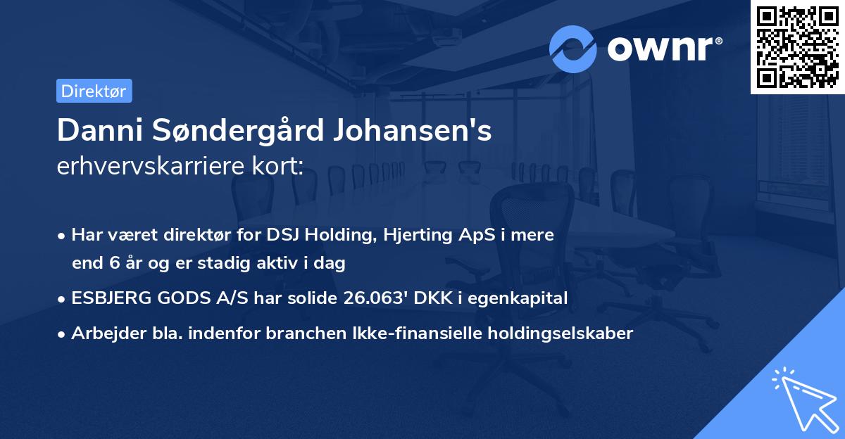 Danni Søndergård Johansen's erhvervskarriere kort
