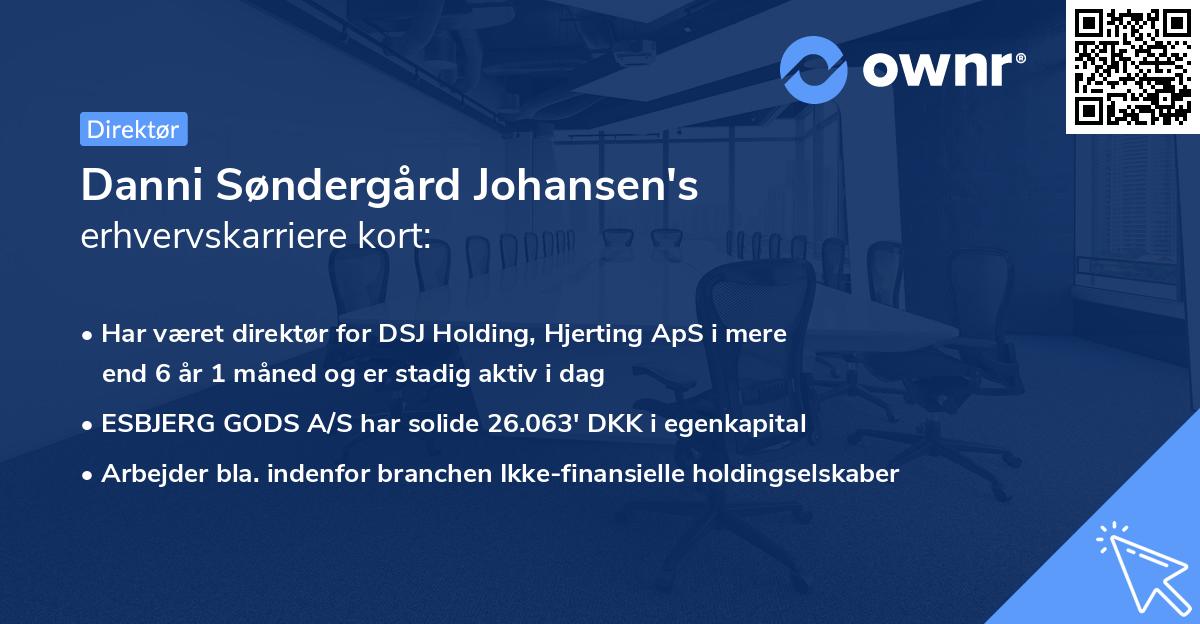 Danni Søndergård Johansen's erhvervskarriere kort