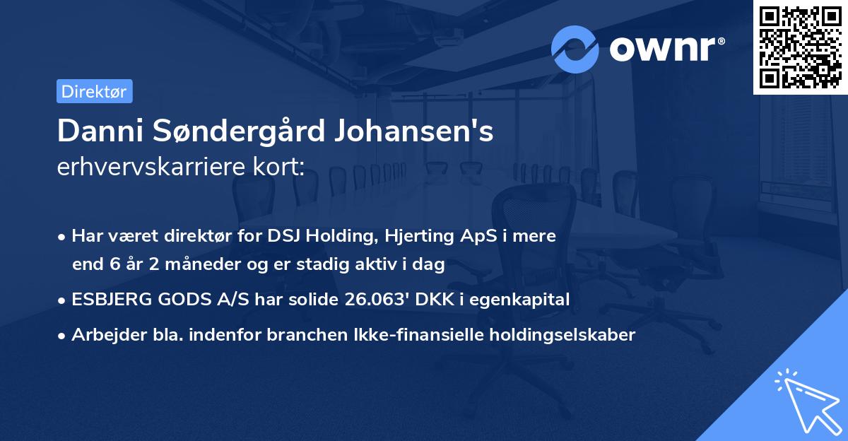 Danni Søndergård Johansen's erhvervskarriere kort