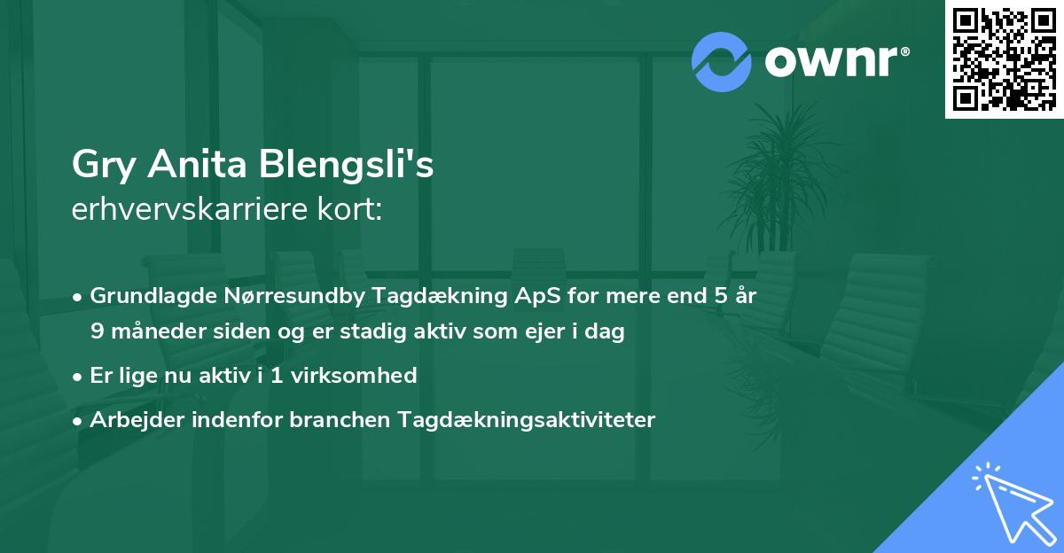 Gry Anita Blengsli's erhvervskarriere kort
