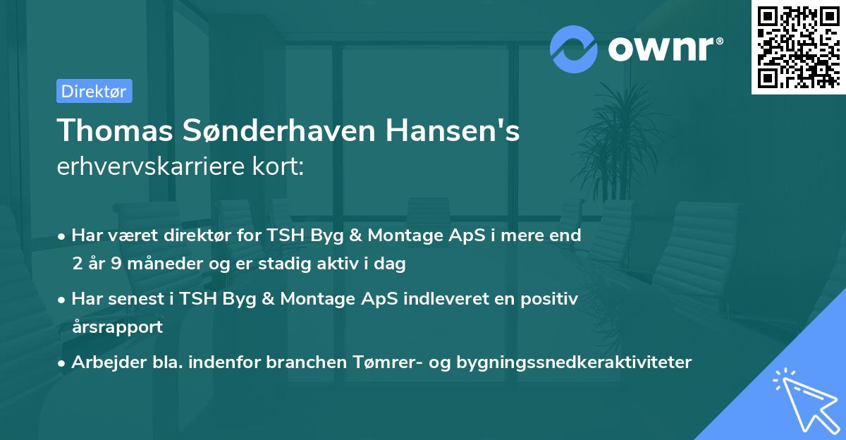 Thomas Sønderhaven Hansen's erhvervskarriere kort