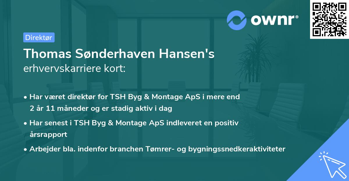 Thomas Sønderhaven Hansen's erhvervskarriere kort