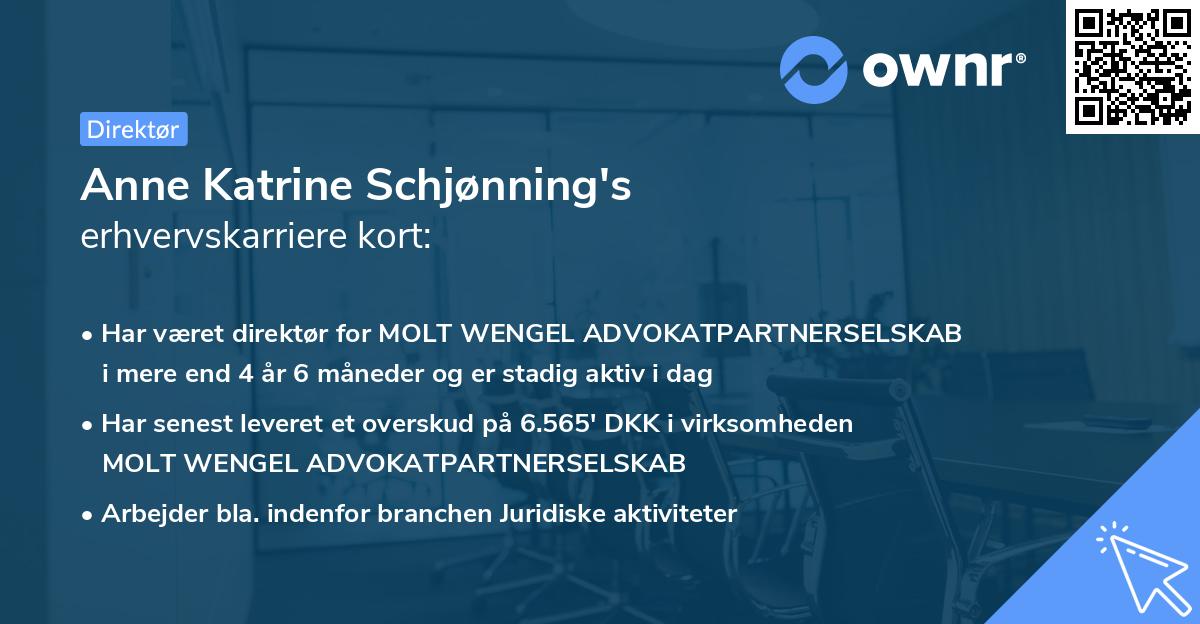 Anne Katrine Schjønning's erhvervskarriere kort