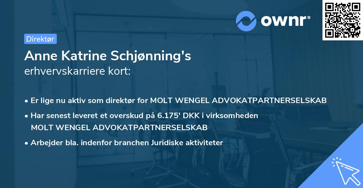 Anne Katrine Schjønning's erhvervskarriere kort
