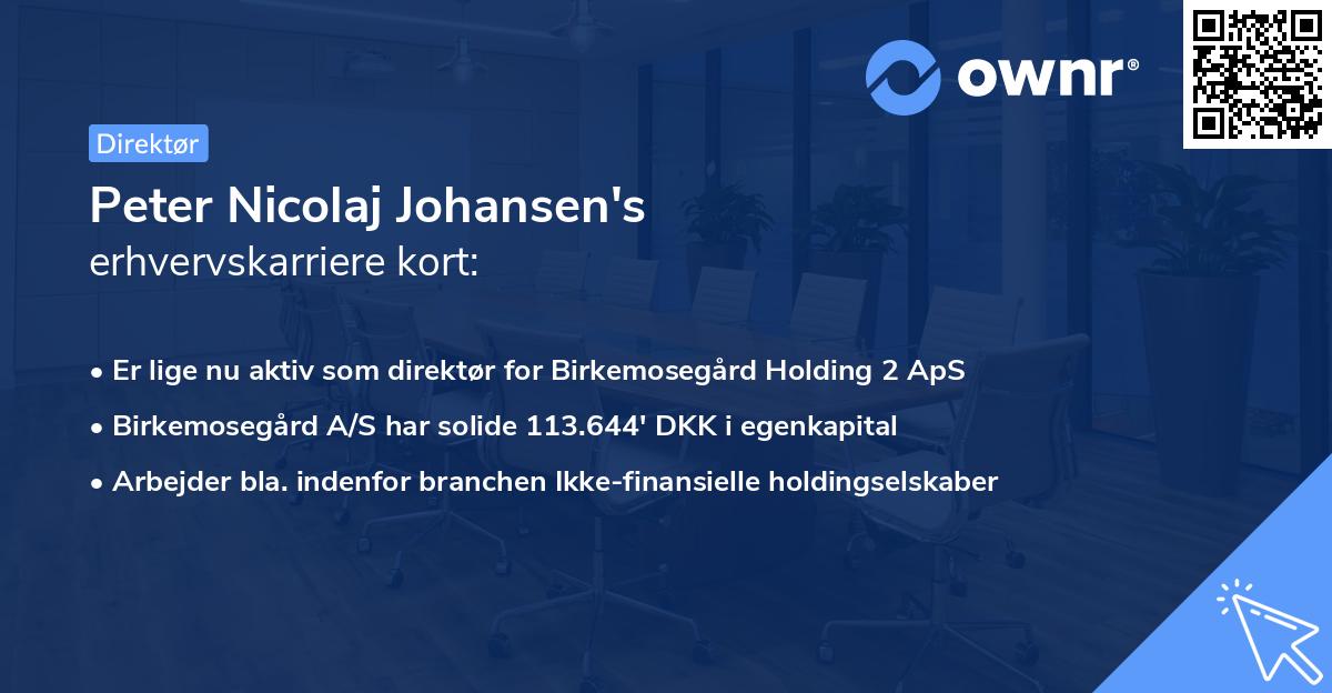 Peter Nicolaj Johansen's erhvervskarriere kort