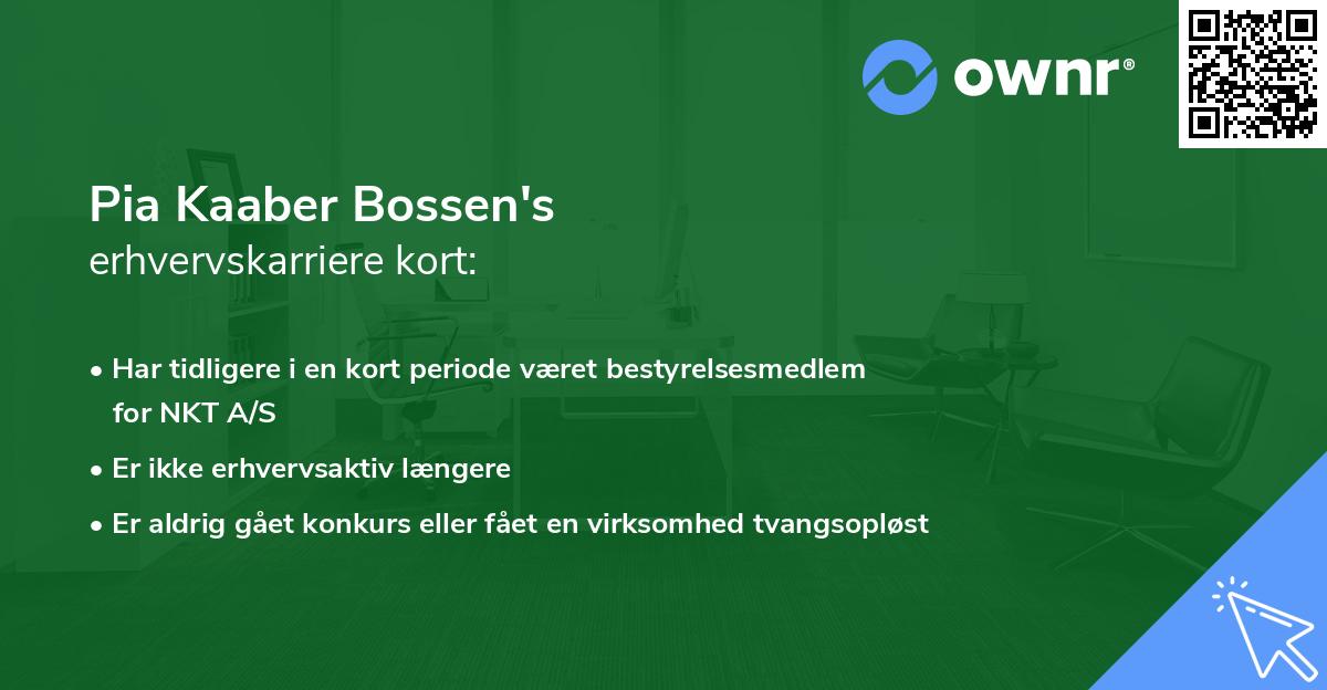 Pia Kaaber Bossen's erhvervskarriere kort