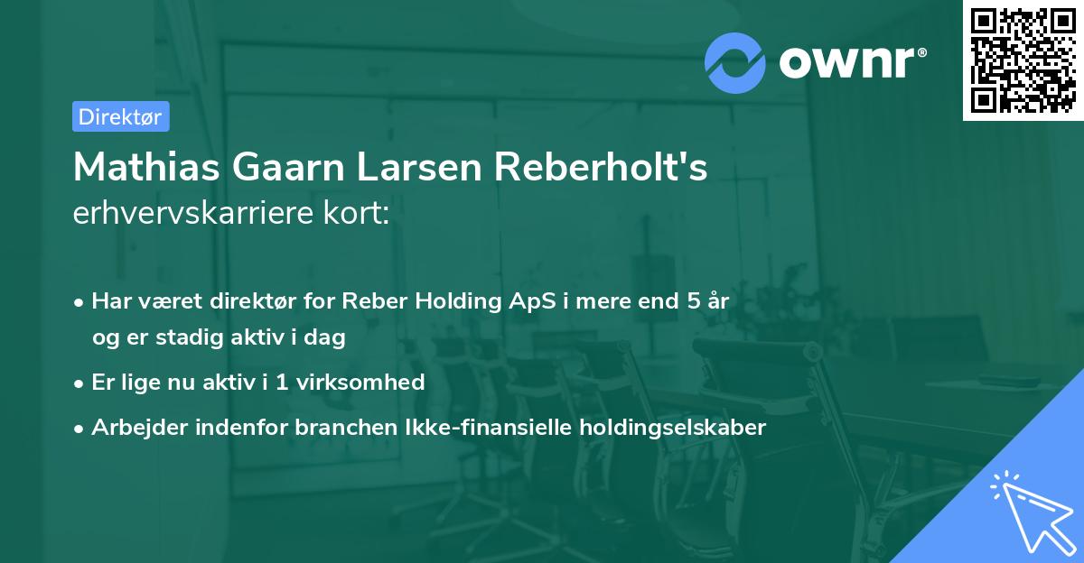 Mathias Gaarn Larsen Reberholt's erhvervskarriere kort