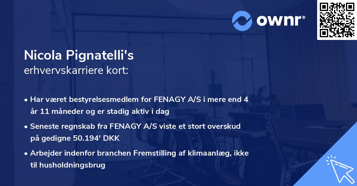 Nicola Pignatelli's erhvervskarriere kort