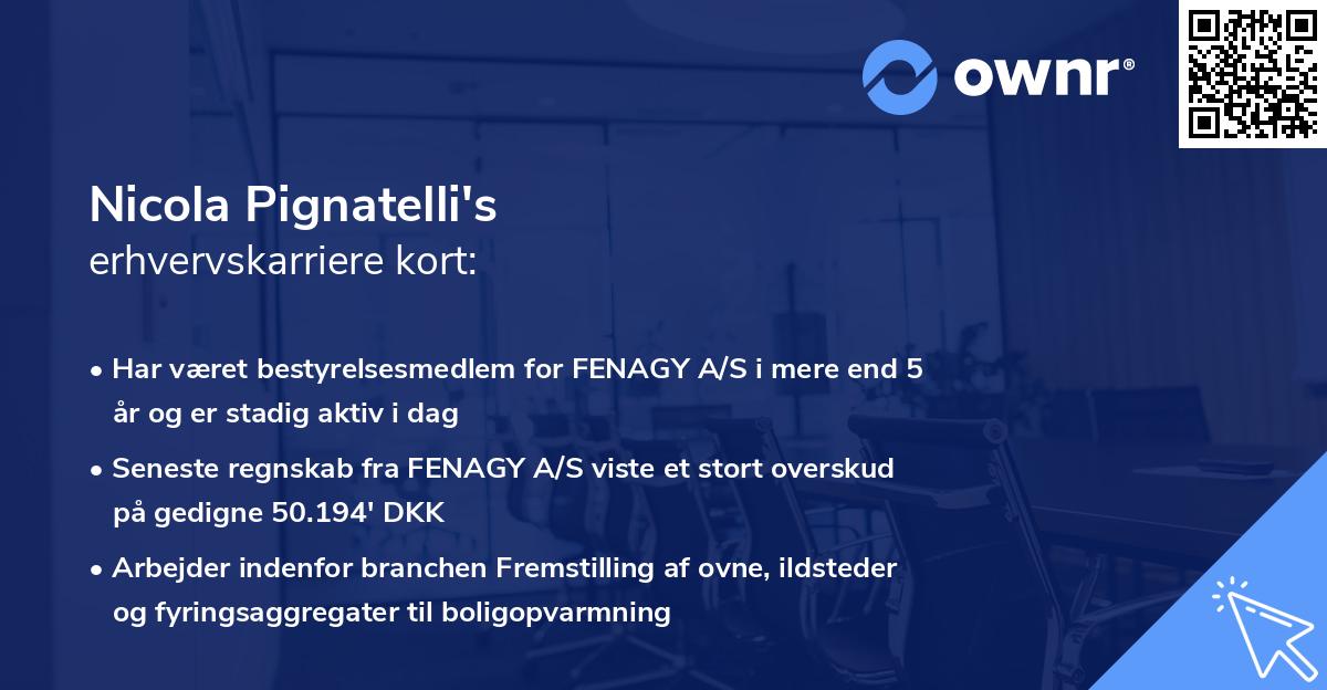Nicola Pignatelli's erhvervskarriere kort