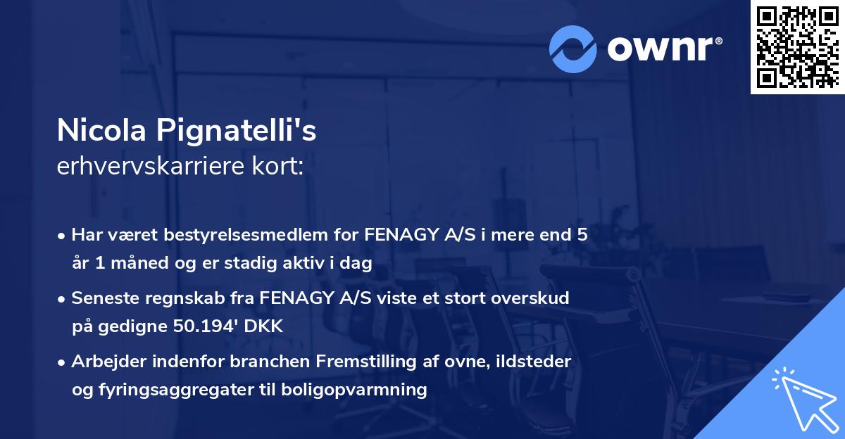 Nicola Pignatelli's erhvervskarriere kort