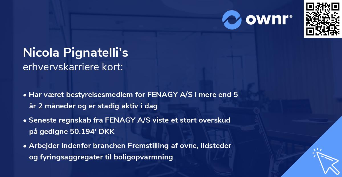 Nicola Pignatelli's erhvervskarriere kort
