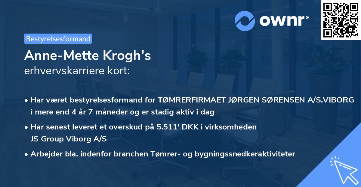 Anne-Mette Krogh's erhvervskarriere kort