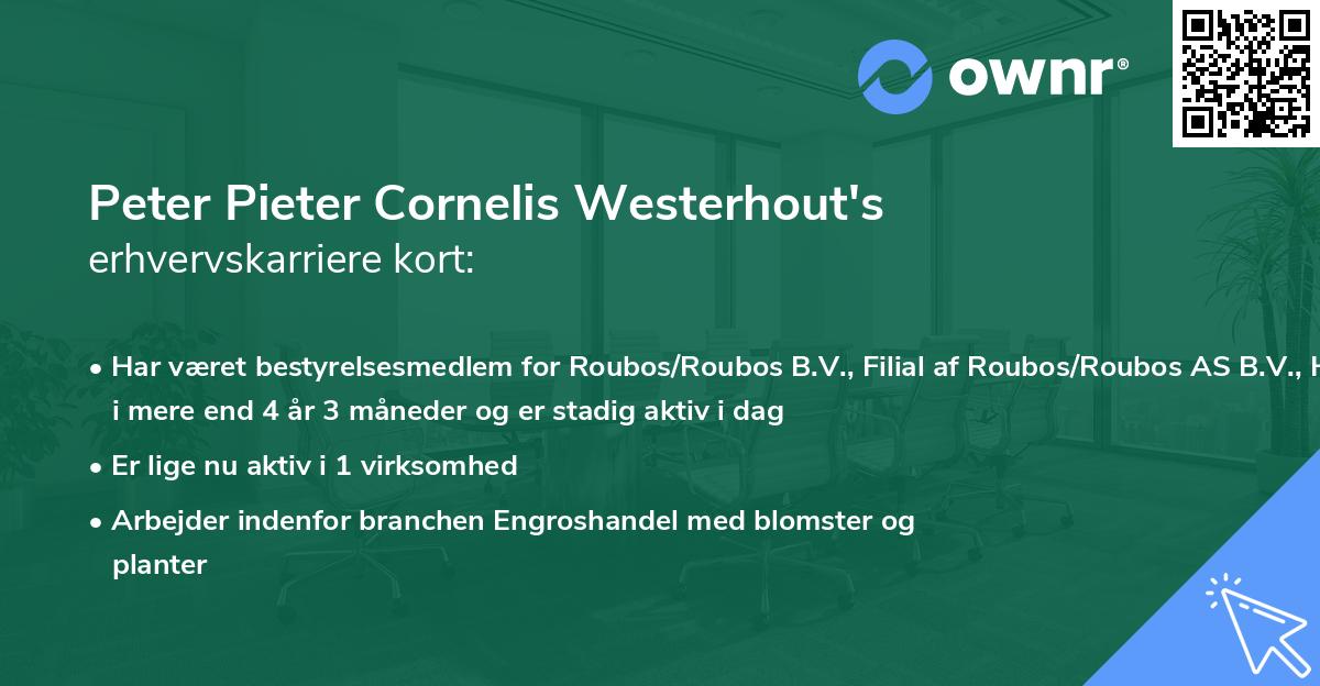 Peter Pieter Cornelis Westerhout's erhvervskarriere kort