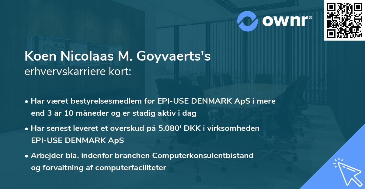 Koen Nicolaas M. Goyvaerts's erhvervskarriere kort