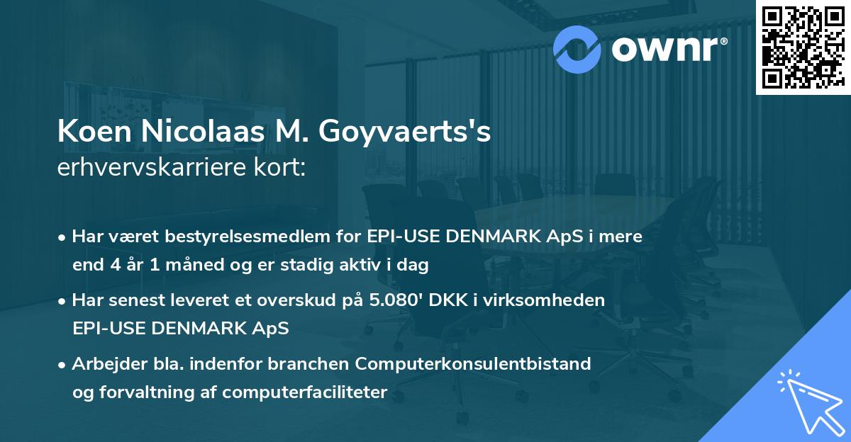 Koen Nicolaas M. Goyvaerts's erhvervskarriere kort