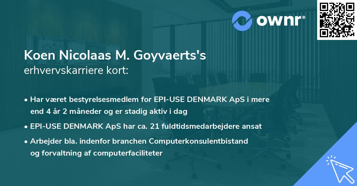 Koen Nicolaas M. Goyvaerts's erhvervskarriere kort