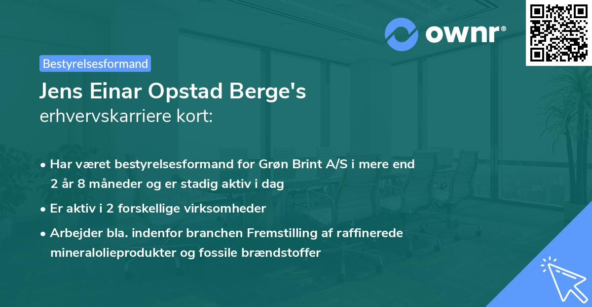 Jens Einar Opstad Berge's erhvervskarriere kort