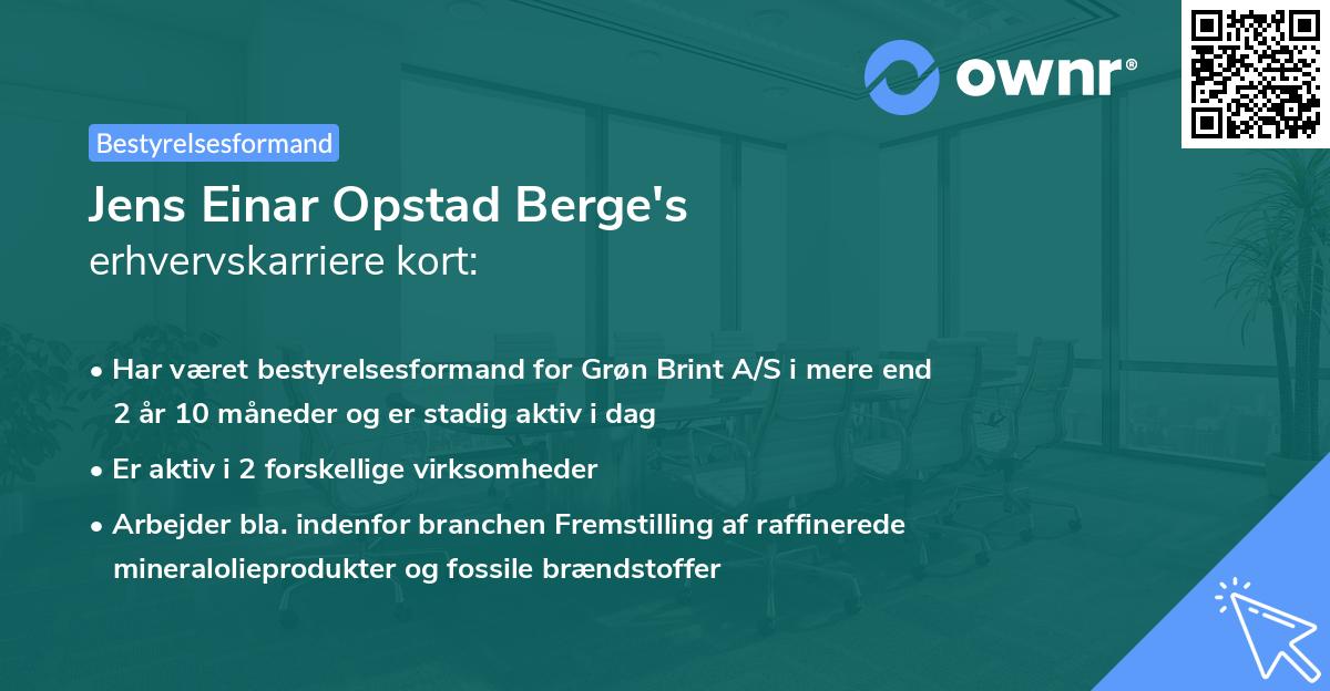 Jens Einar Opstad Berge's erhvervskarriere kort