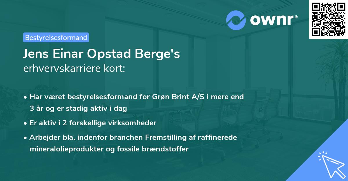 Jens Einar Opstad Berge's erhvervskarriere kort