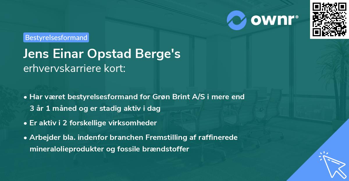 Jens Einar Opstad Berge's erhvervskarriere kort