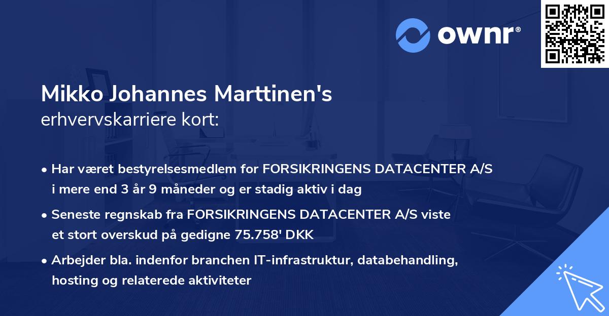 Mikko Johannes Marttinen's erhvervskarriere kort