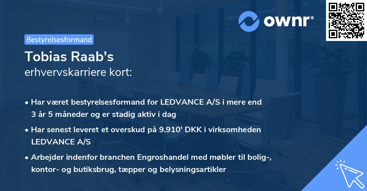 Tobias Raab's erhvervskarriere kort