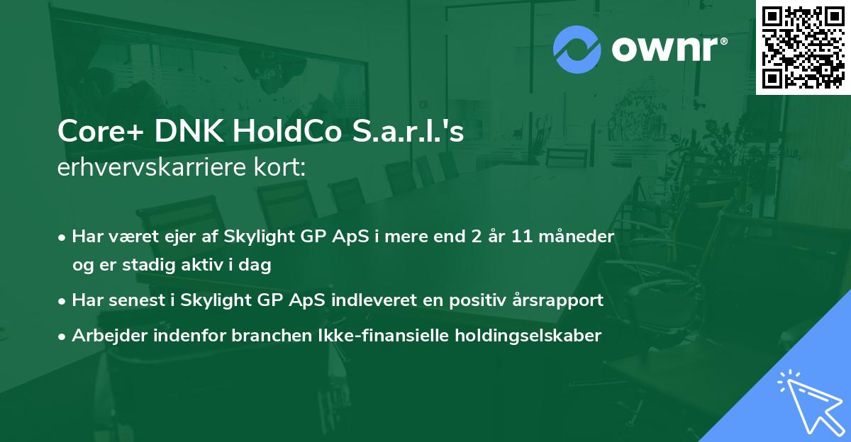 Core+ DNK HoldCo S.a.r.l.'s erhvervskarriere kort