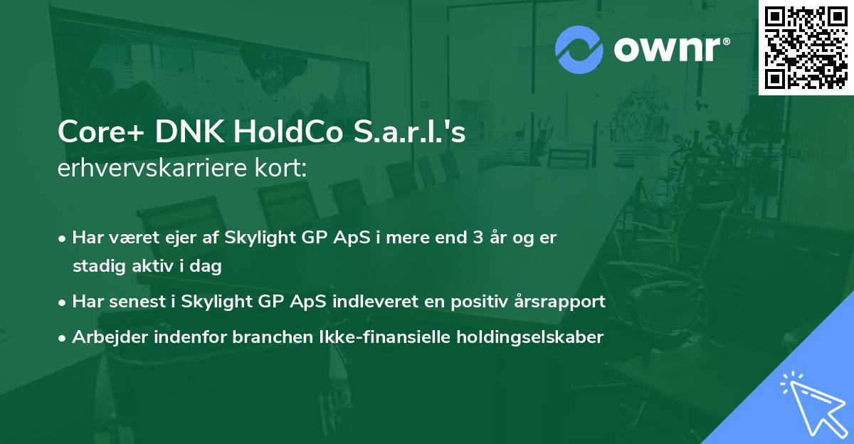 Core+ DNK HoldCo S.a.r.l.'s erhvervskarriere kort