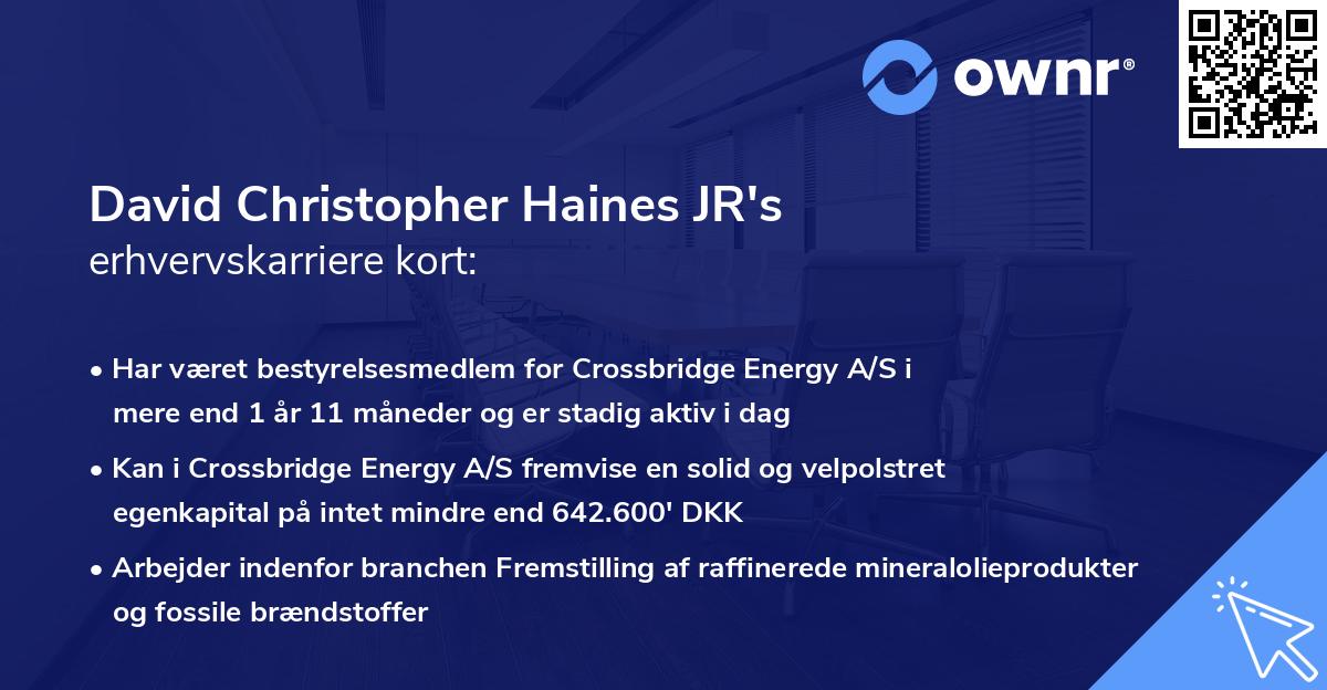 David Christopher Haines JR's erhvervskarriere kort