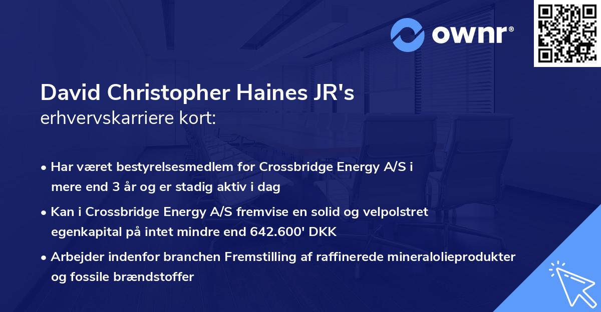 David Christopher Haines JR's erhvervskarriere kort