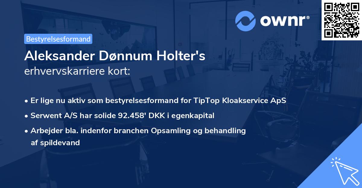 Aleksander Dønnum Holter's erhvervskarriere kort