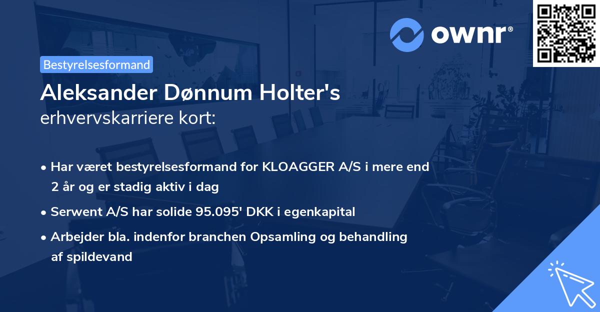Aleksander Dønnum Holter's erhvervskarriere kort
