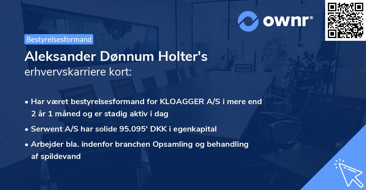 Aleksander Dønnum Holter's erhvervskarriere kort