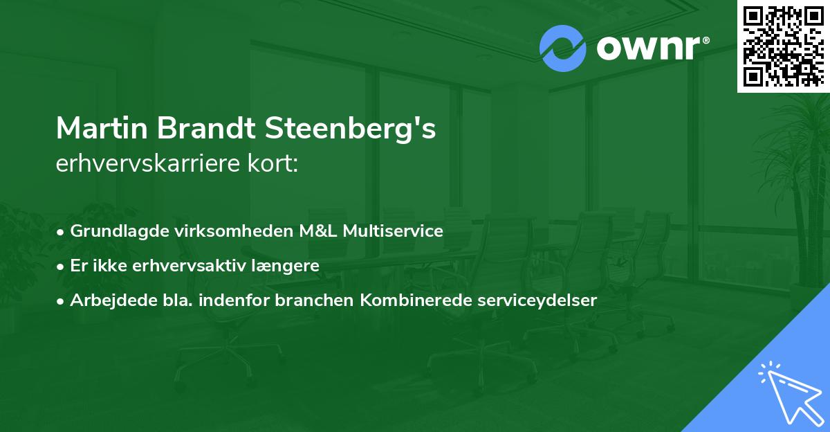 Martin Brandt Steenberg's erhvervskarriere kort