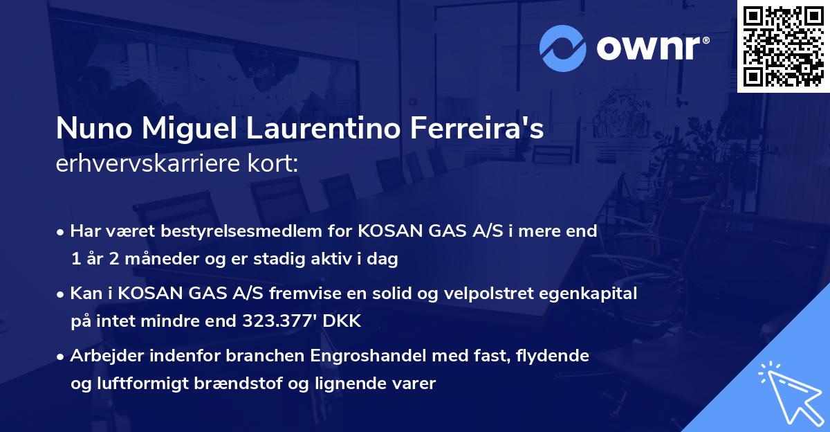 Nuno Miguel Laurentino Ferreira's erhvervskarriere kort