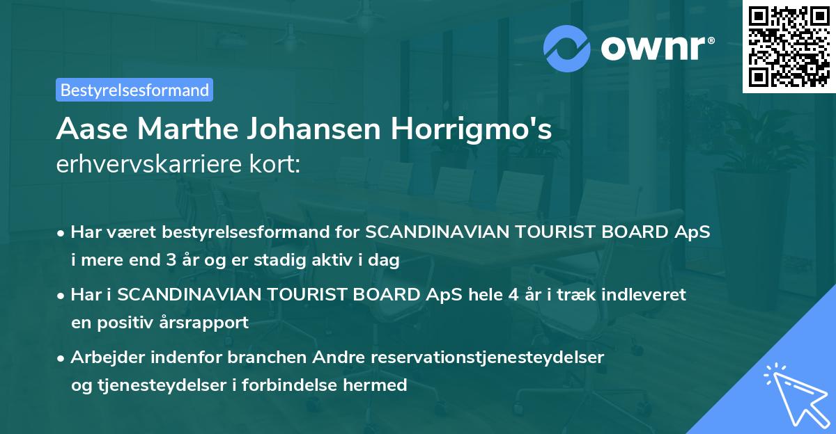 Aase Marthe Johansen Horrigmo's erhvervskarriere kort